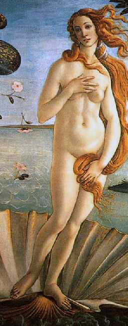 birthvenus.jpg