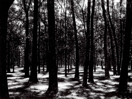 In conversation with April Gornik